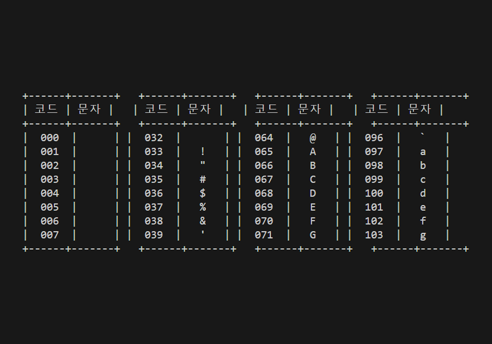 파이썬 아스키 실행
